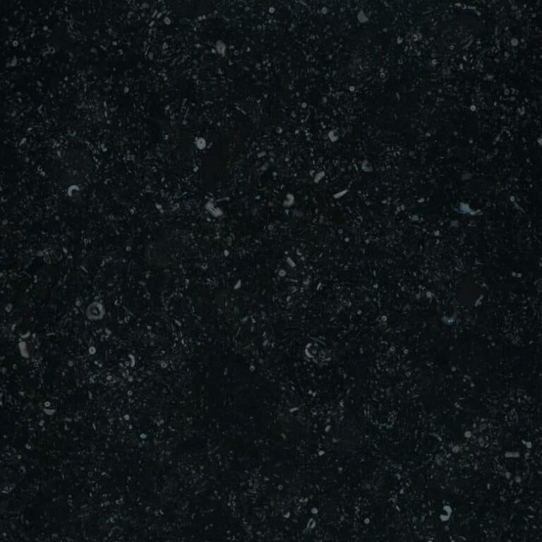 poli